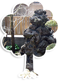 N様邸